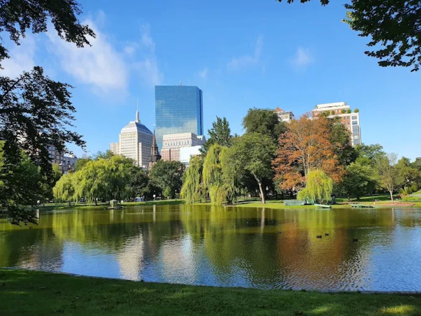 Boston Public Garden